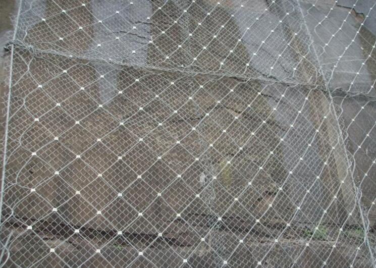 ߅�·��o(h��)�W(w��ng)