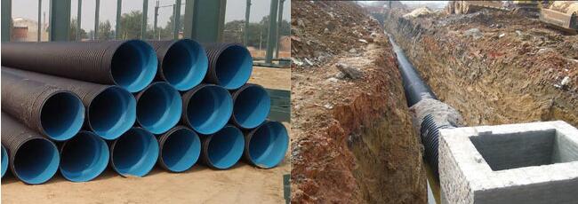 ���̌���