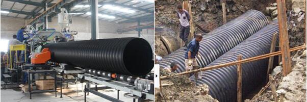 ���̌���