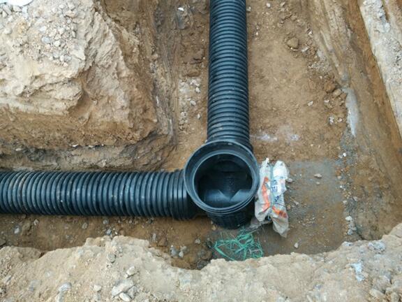 ���̌���