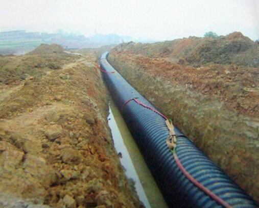 ���̌���